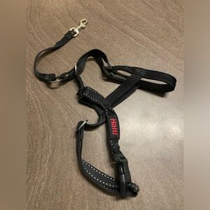 HALTI dog head collar